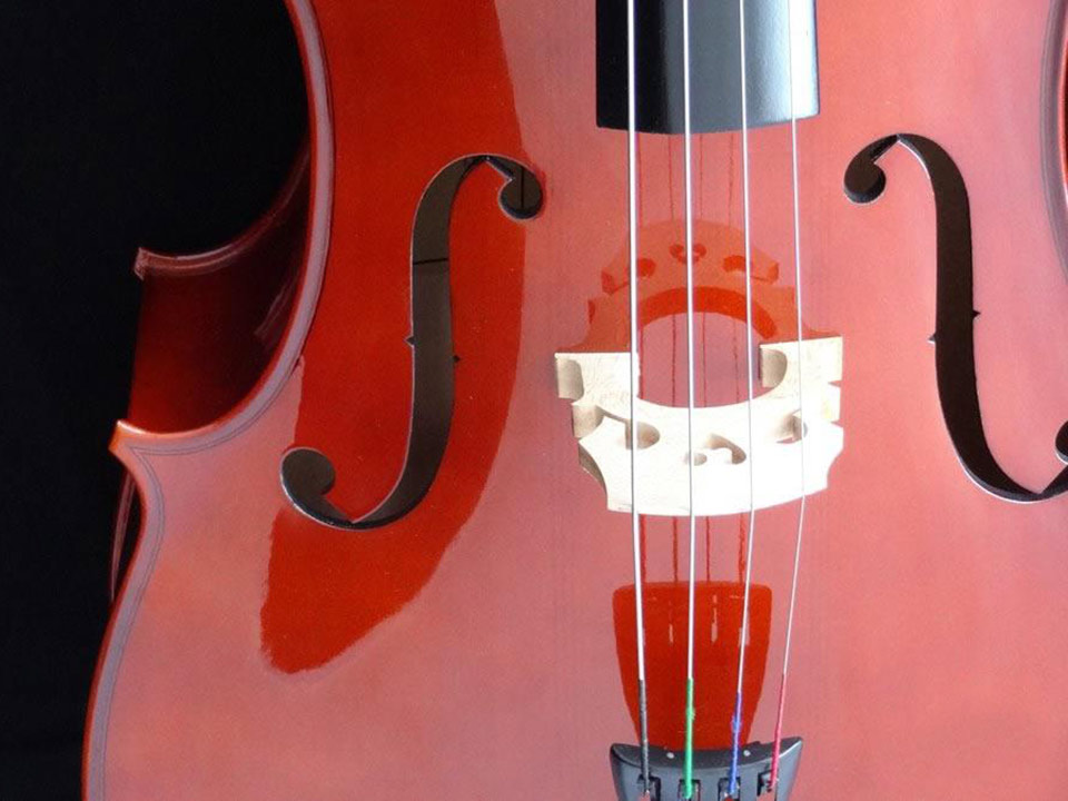 najam_violine_i_violoncela